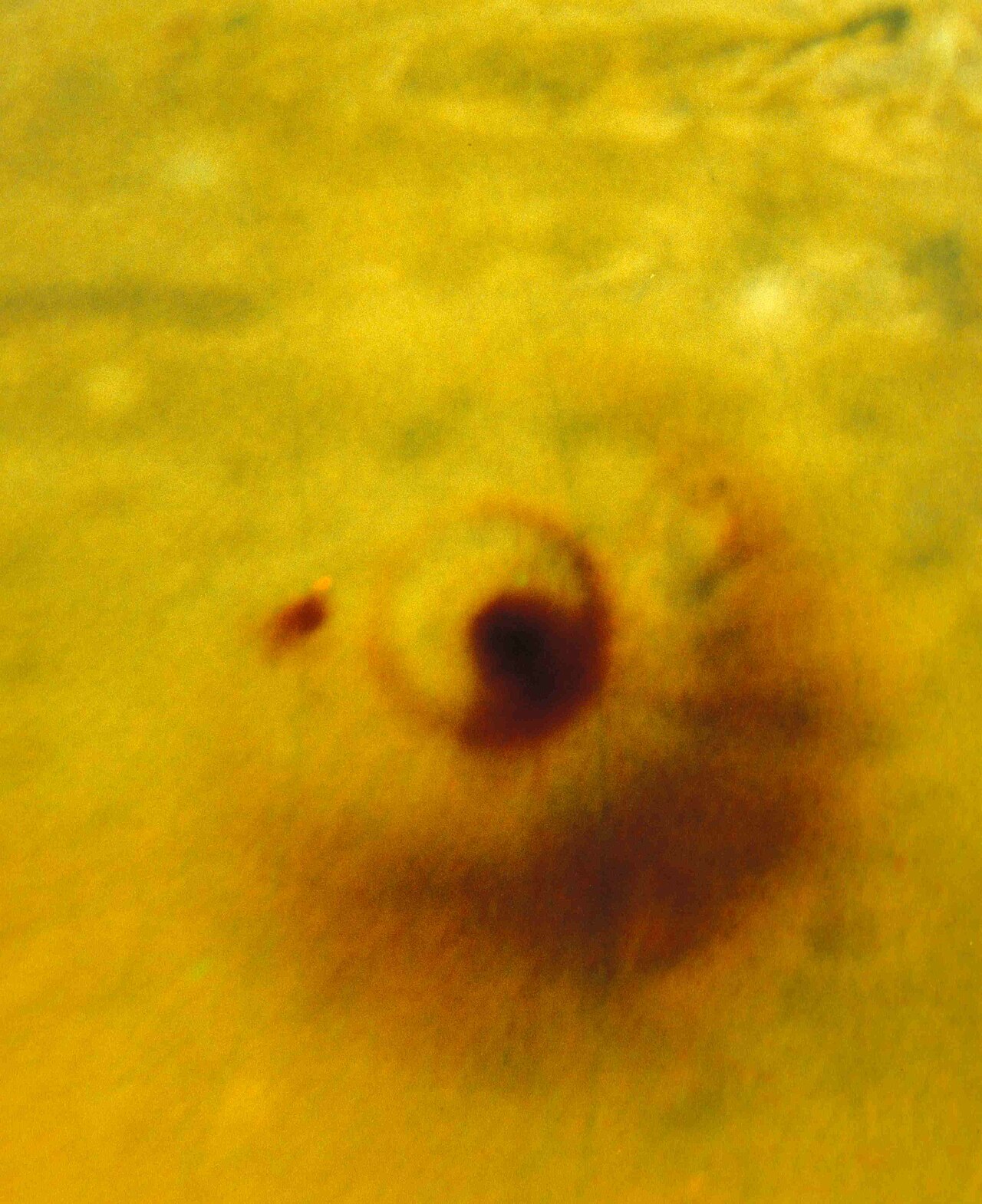 Comet Shoemaker–Levy 9 fragments create massive impact scars in Jupiter's atmosphere