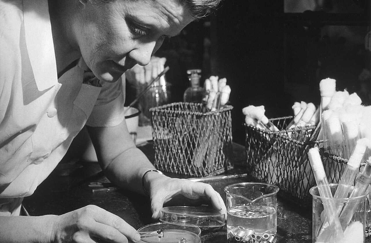A researcher works with petri dishes in the Rutgers laboratory