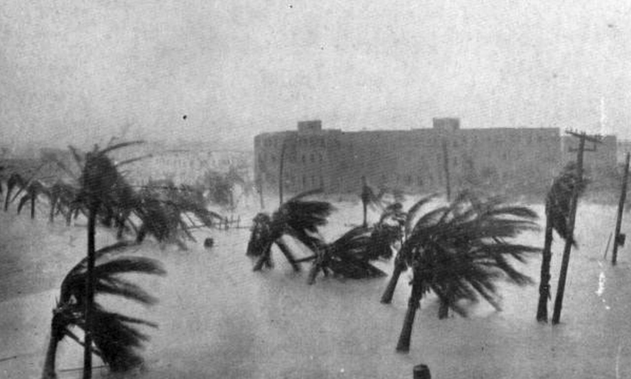 Palm trees bend before the hurricane winds flooding a Miami street