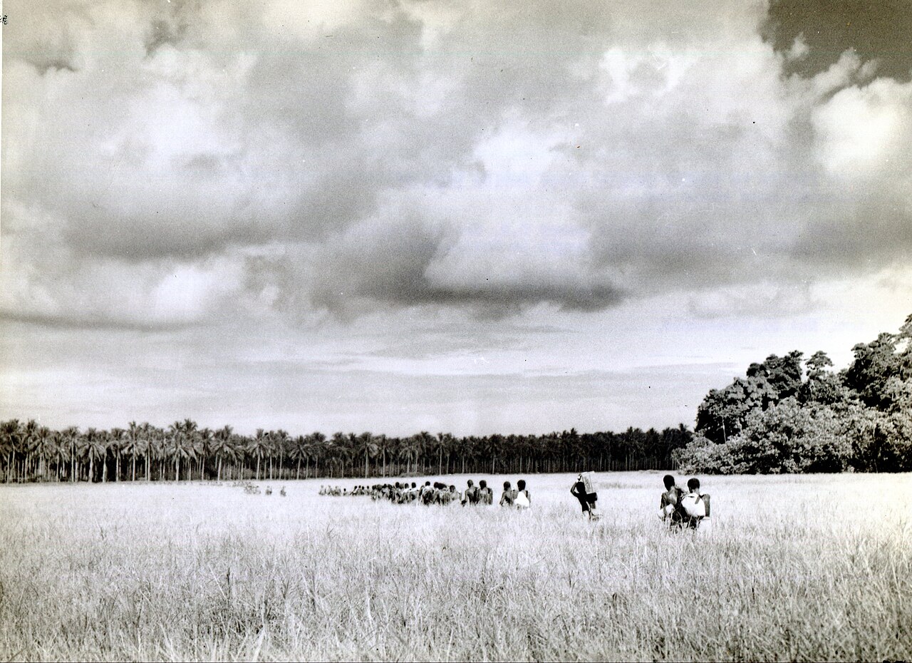 Japanese prisoners of war captured following their defeat at the Battle of the Tenaru
