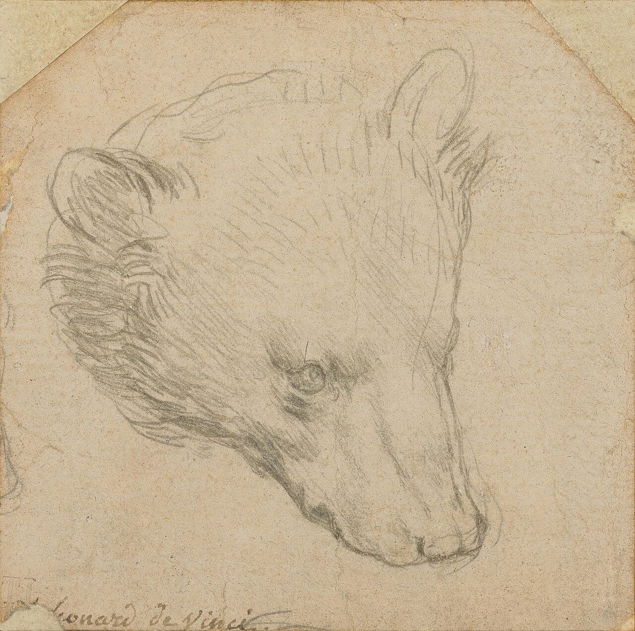 Leonardo Da Vinci Drawing Fetches Record £8.8 Million at London Auction