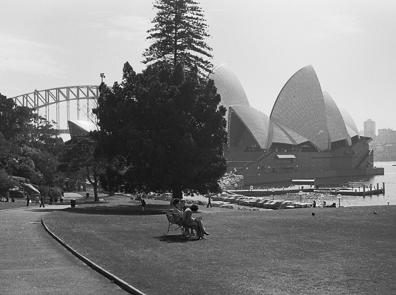 The Sydney Opera House seen from the Royal Botanic Garden on opening day